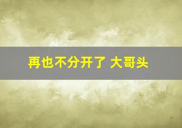 再也不分开了 大哥头